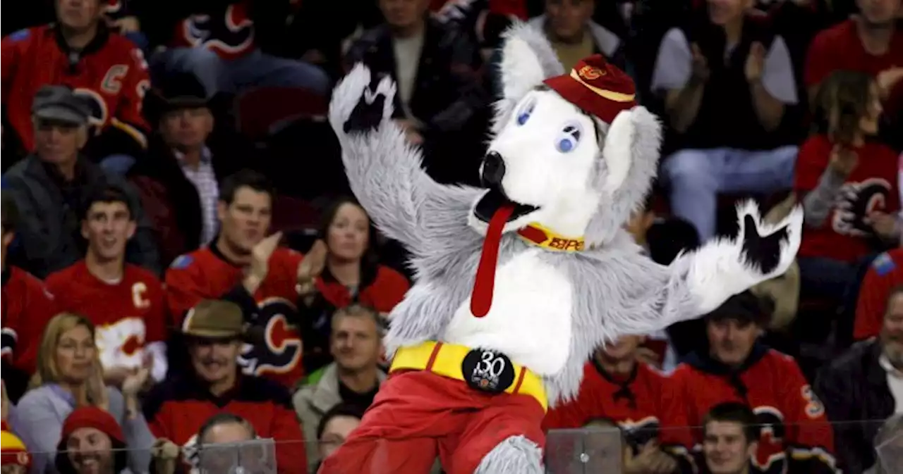 Calgary Flames’ Harvey the Hound is the worst mascot in the NHL, fans say | Globalnews.ca