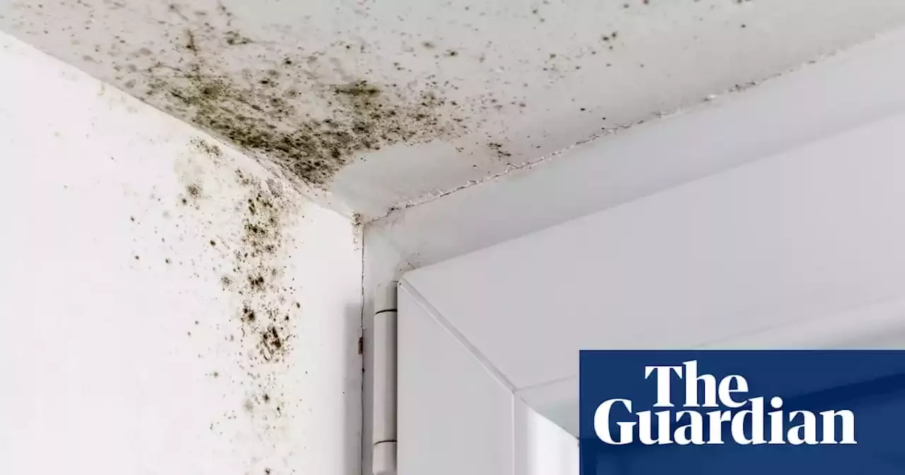 what-is-black-mould-and-what-health-problems-can-it-cause