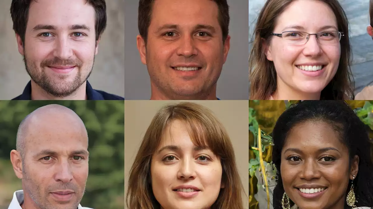 Intel develops software it says can detect deepfakes in milliseconds - Hypertext