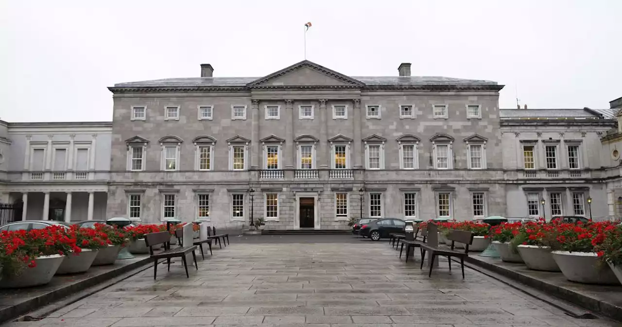 Doctors called to Leinster House and Minister taken to hospital