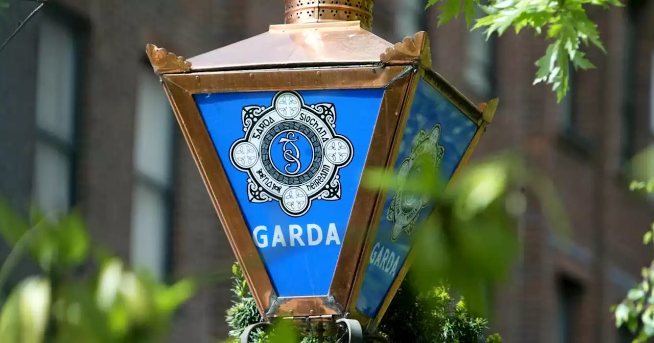 Irishwoman was held against her will for four hours, court hears