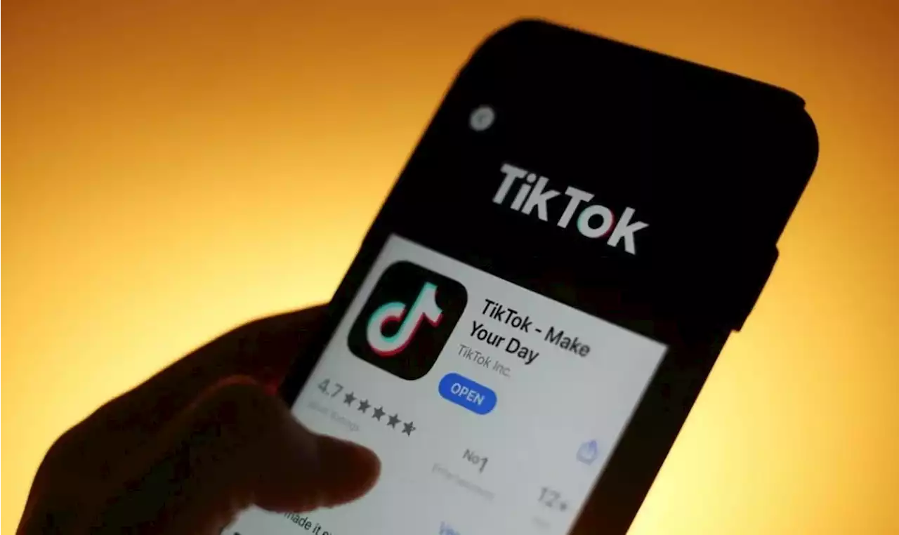 TikTok: usuários relatam instabilidade no aplicativo