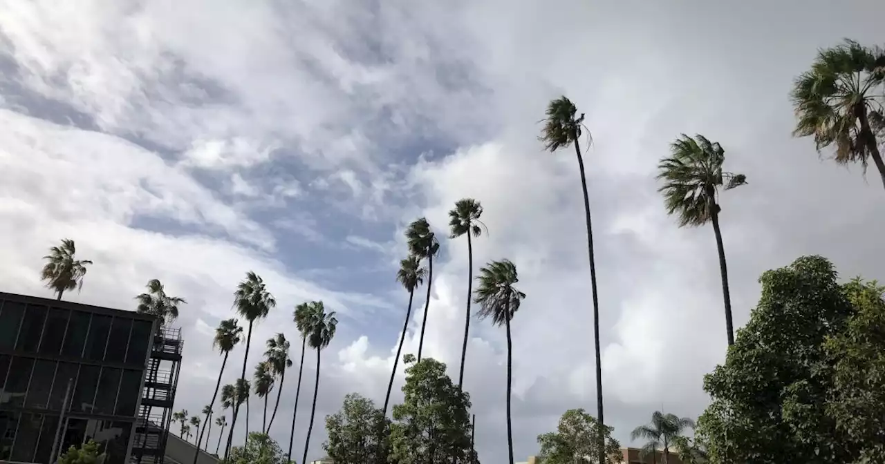 Hazardous gusty Santa Ana winds headed to San Diego area