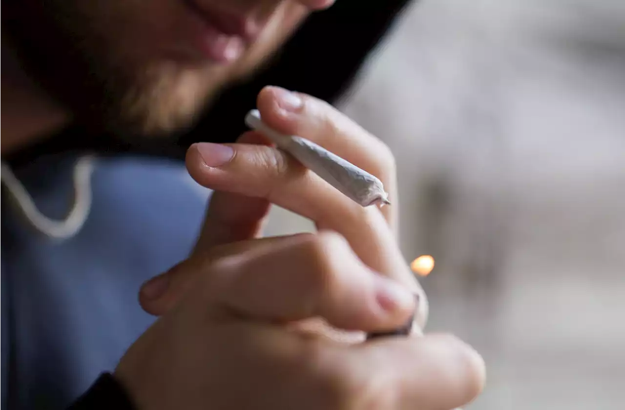 Le cannabis plus nocif pour les poumons que le tabac ?