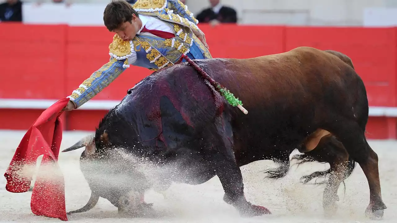 Aymeric Caron : « La corrida est un séparatisme auquel il faut mettre fin »