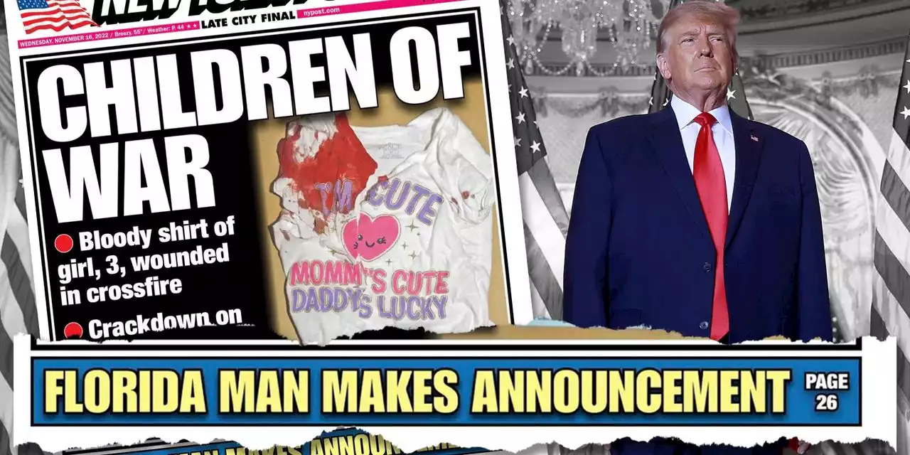 NY Post taunts Trump’s presidential bid with ‘Florida man makes announcement’ teaser at the very bottom of the front page