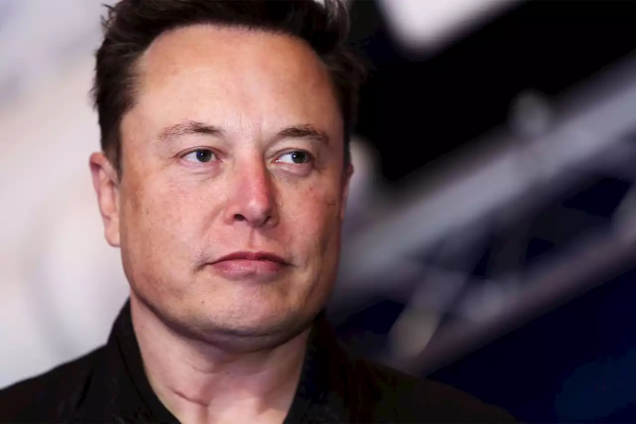 Elon Musk purging Twitter engineers that openly rebuke him