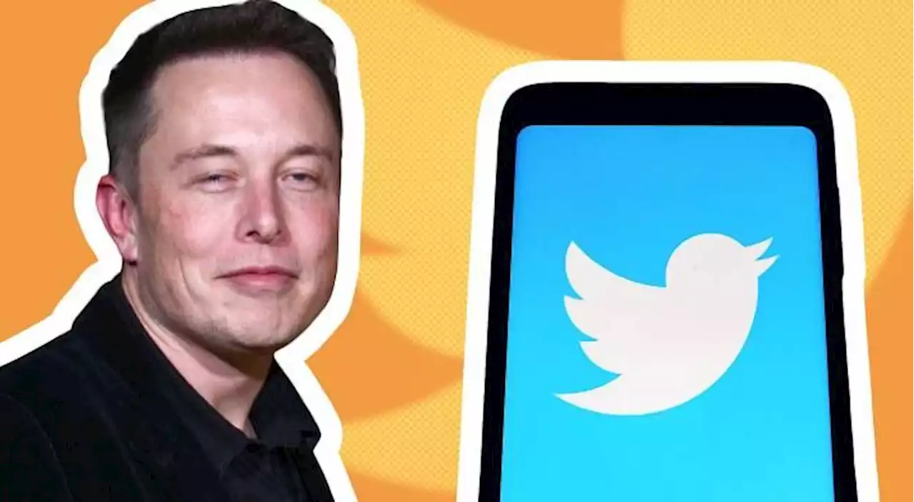 Elon Musk shaking up Twitter after going all in, plus three other investments he likes