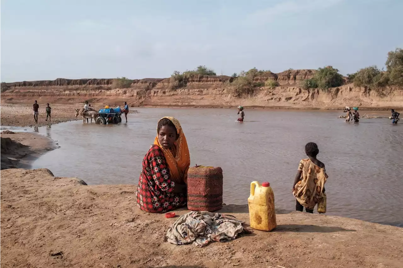 Climate change set to 'increase hunger' in Africa - UN | Fin24