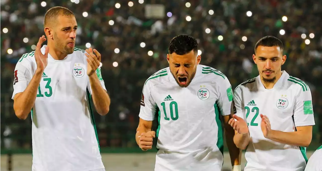 🚨 Algérie - Mali en direct : les Fennecs trouvent déjà le poteau...suivez le match en live !