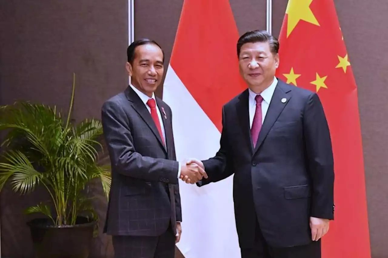 Jokowi Sapa Xi Jinping Sebagai 'Kakak Besar', Berikut Isi Pertemuan Bilateral China-Indonesia - Pikiran-Rakyat.com