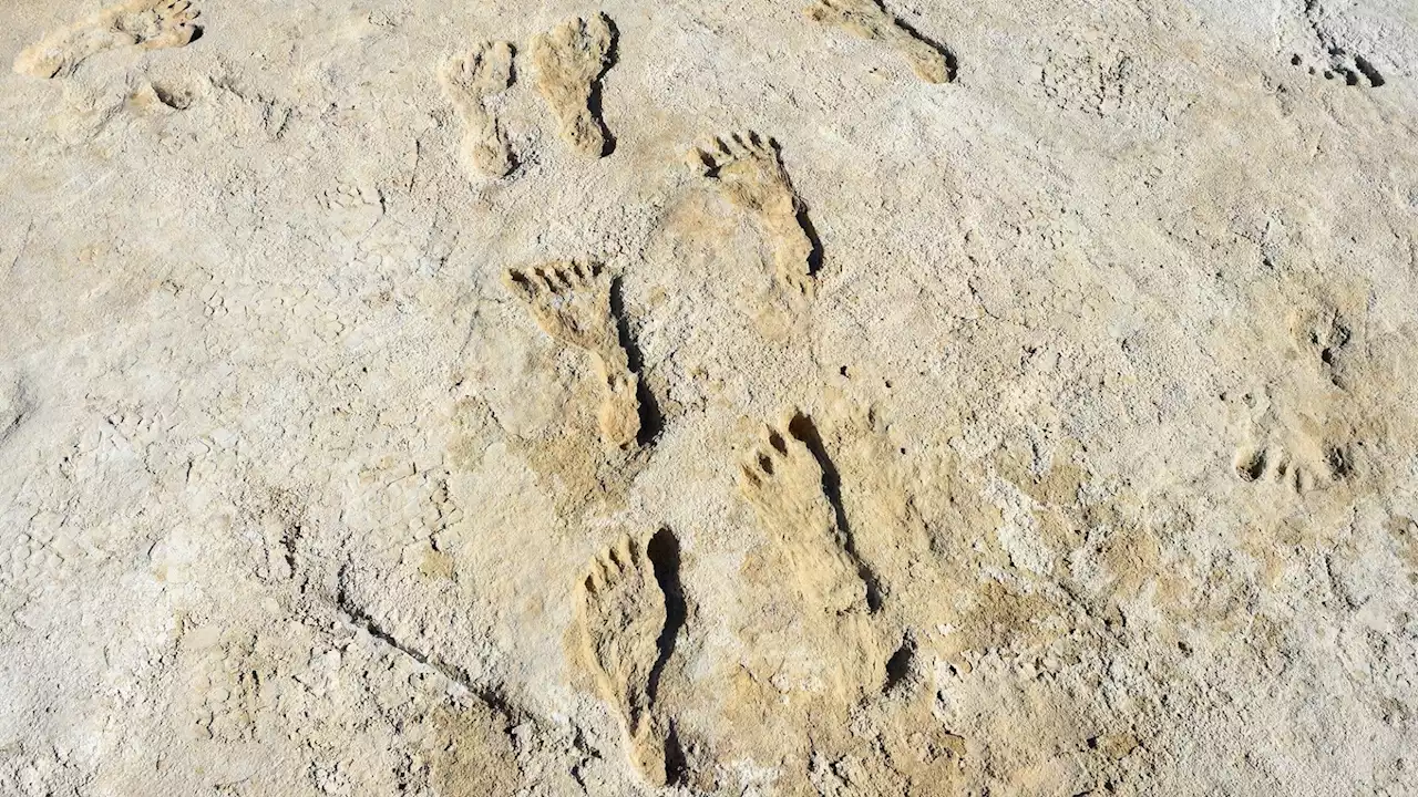 Scientists still are figuring out how to age the ancient footprints in White Sands National Park