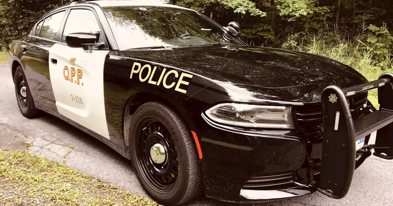 Stolen vehicle recovered after theft at Trenton business