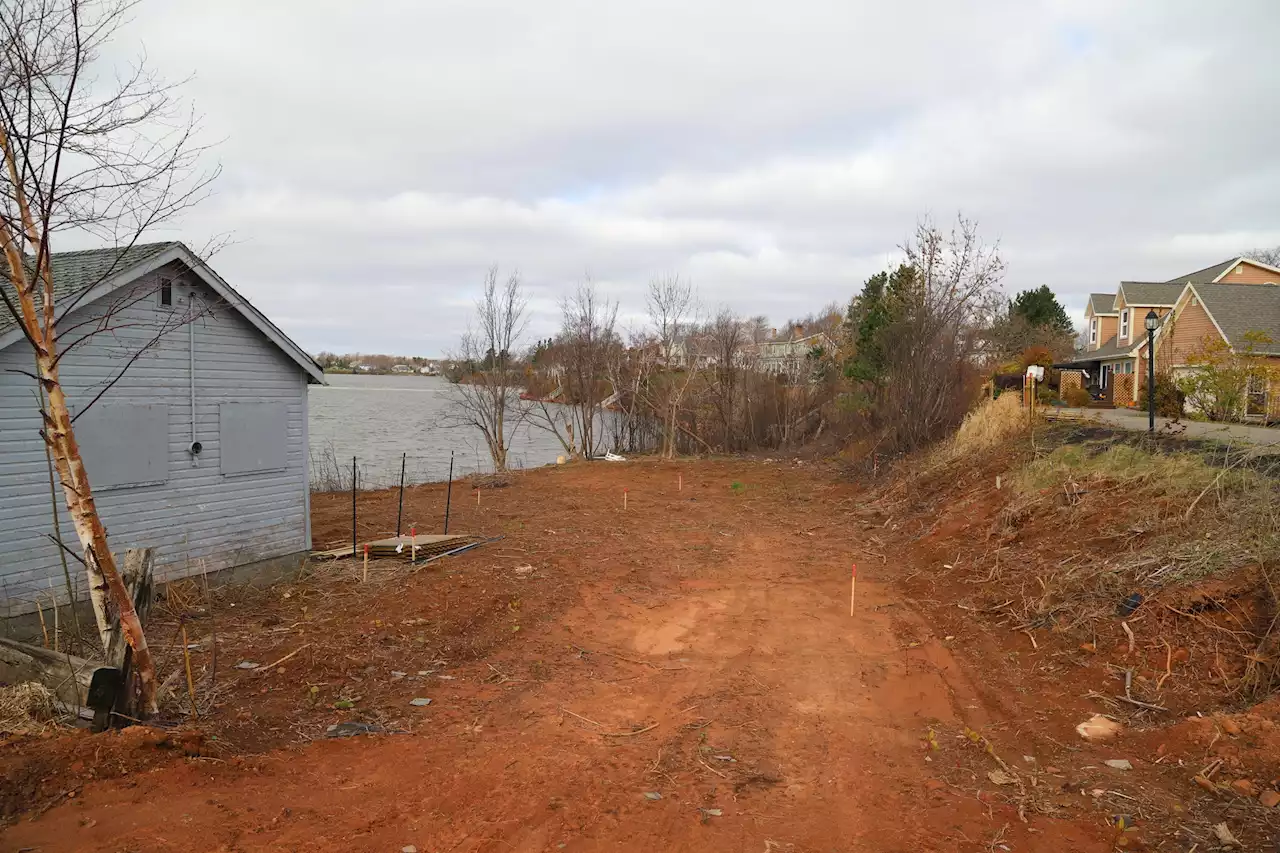 Charlottetown residents frustrated with lack of enforcement after developer clearcuts buffer zone | SaltWire