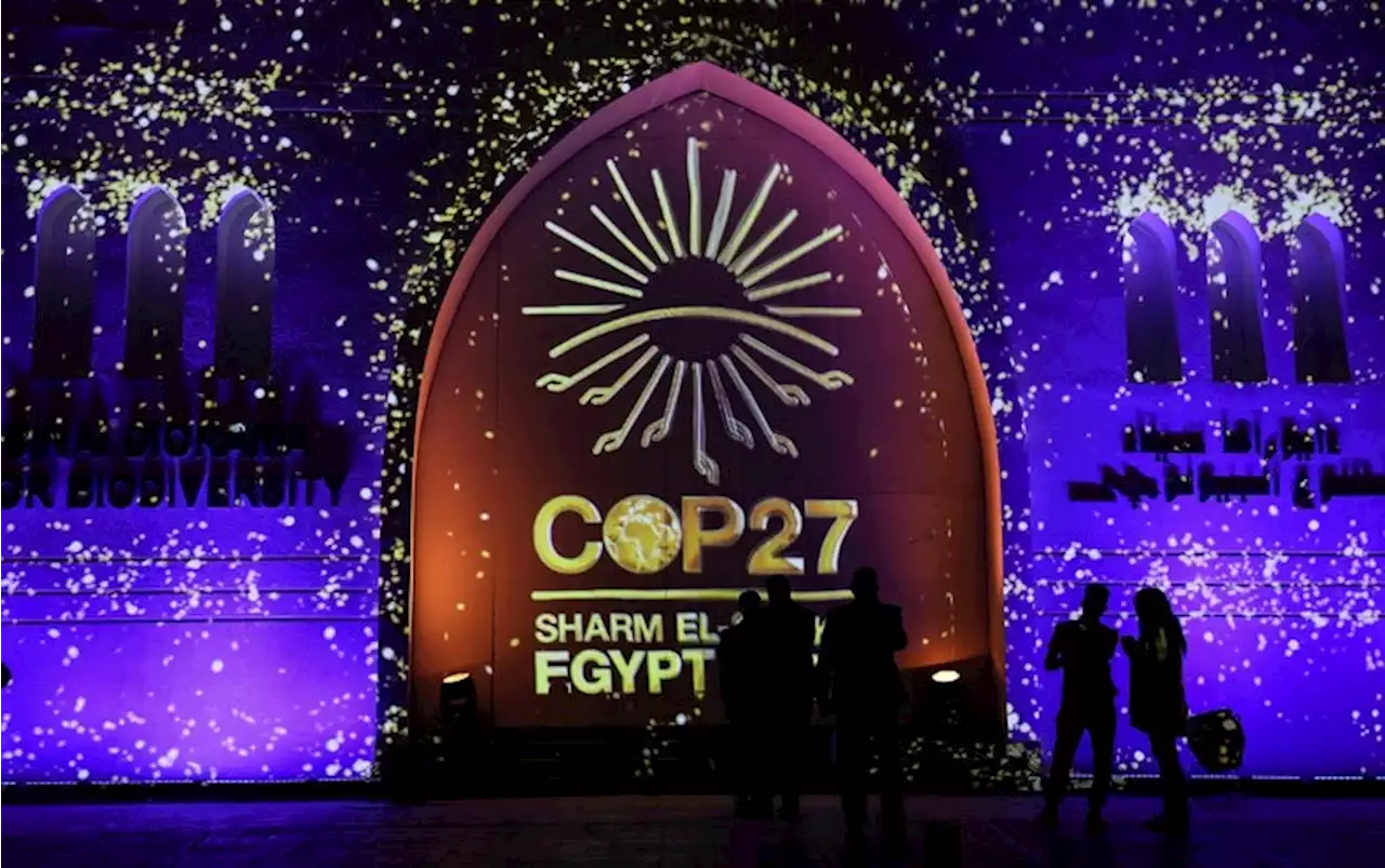 Egypt &rsquo;s Climate Scientists Hope for &lsquo;Actions, Not Just Words&rsquo; at COP27