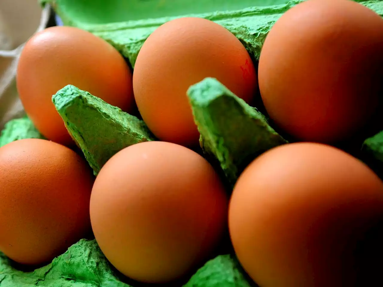 Asda and Lidl limit egg sales amid supply disruption