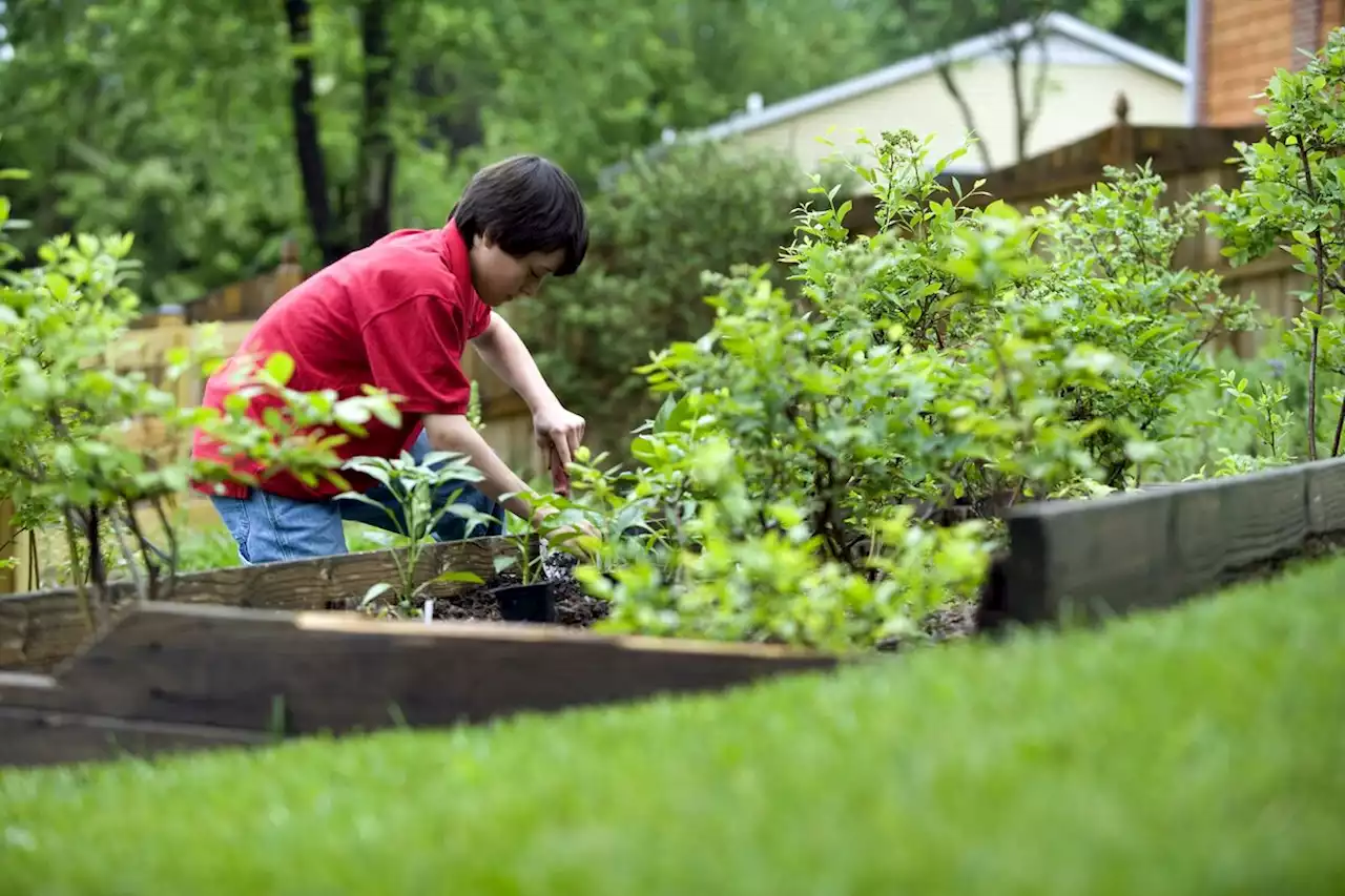 Were Australian Lawmakers Considering Ban on People Growing Food?