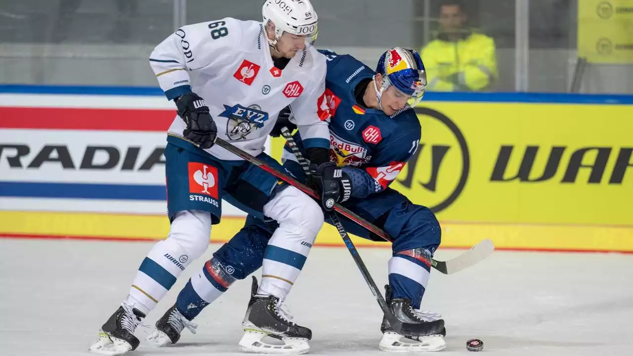 Champions Hockey League: Debakel für München, auch Straubing und Wolfsburg vor dem Aus