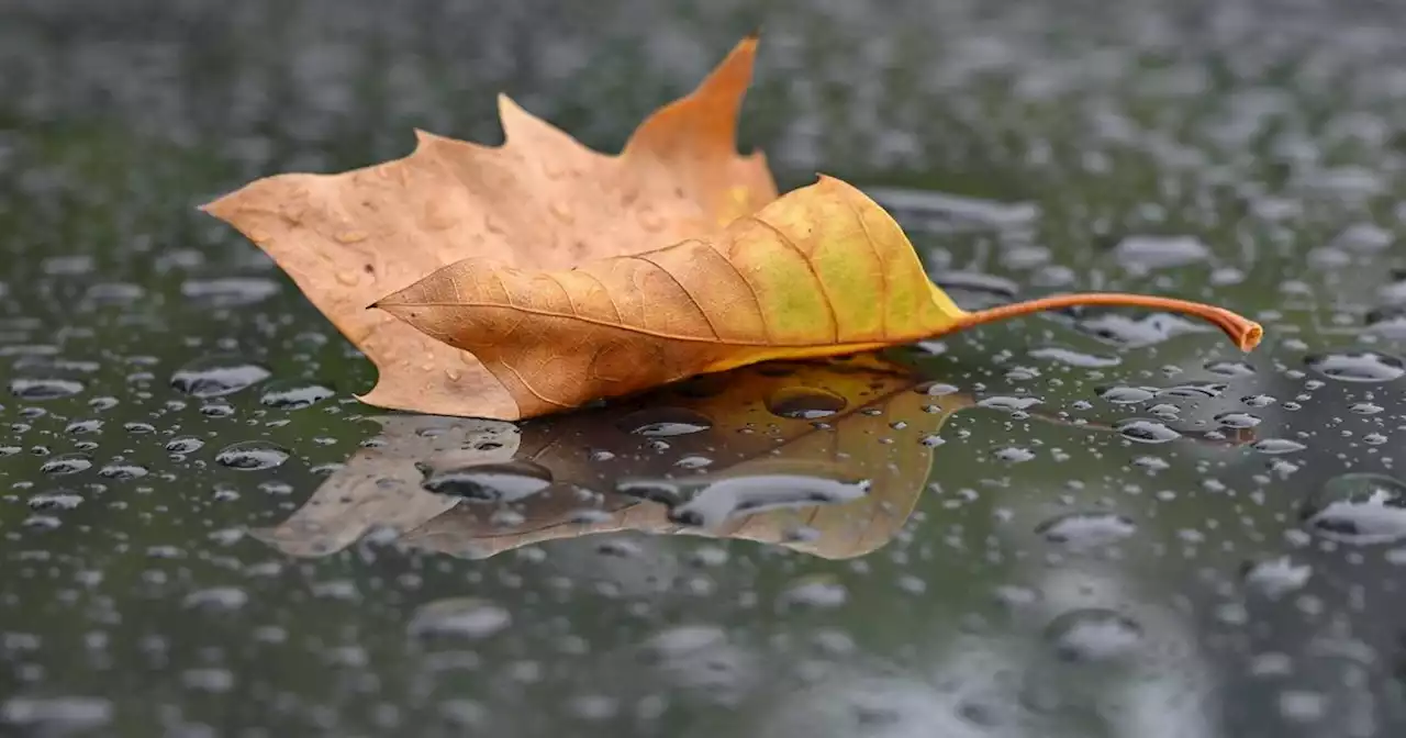 Wetter für die kommenden Tage: Wechselhaftes Wetter im Saarland erwartet