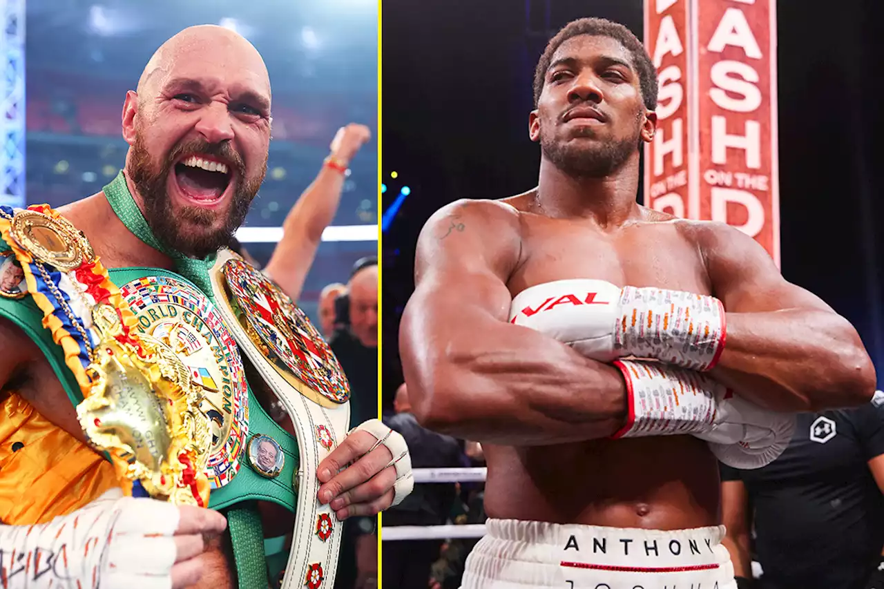 Tyson Fury says he needs Anthony Joshua fight before retiring from boxing