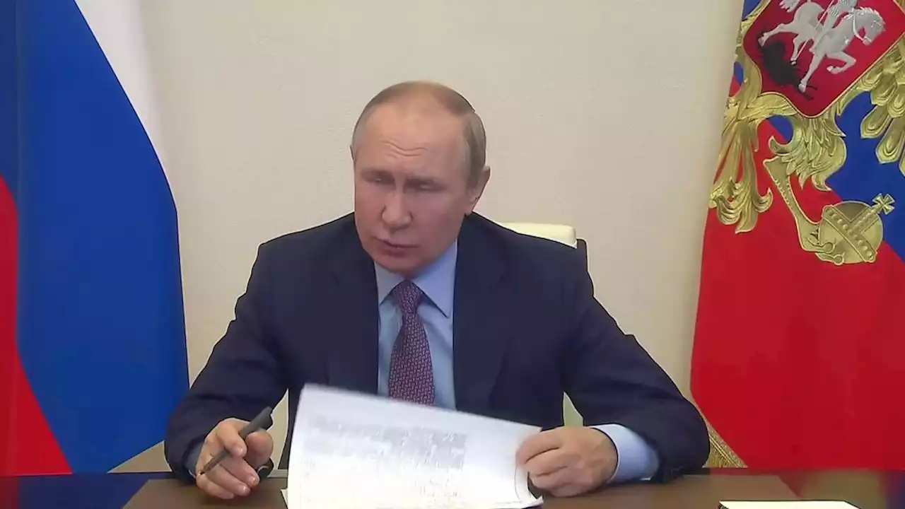 Путин заявил, что автомобили должны стать гораздо доступнее для россиян