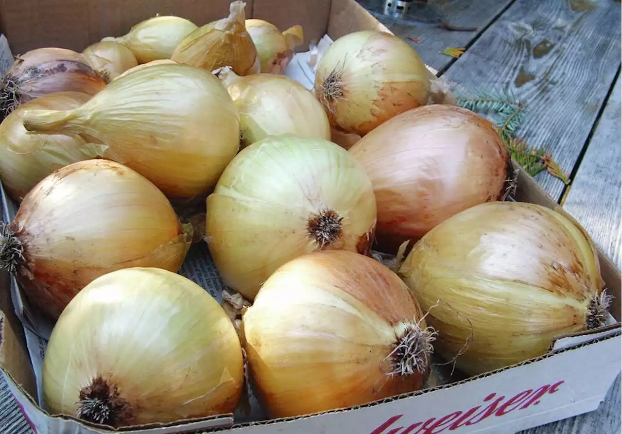 Garden Notes: It's not too late to plant garlic, but be quick