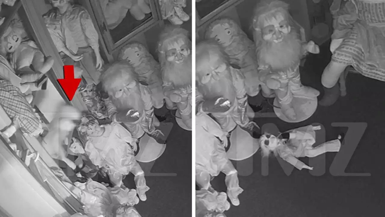 Zak Bagans Shows Off Haunted Ghost Doll Mysteriously Falling Off Shelf