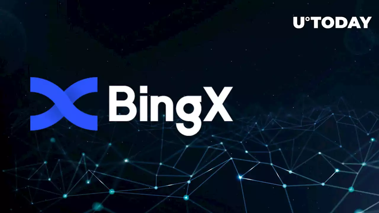 Crypto Exchange BingX Introduces First-Ever Elite Copy Trading Tool