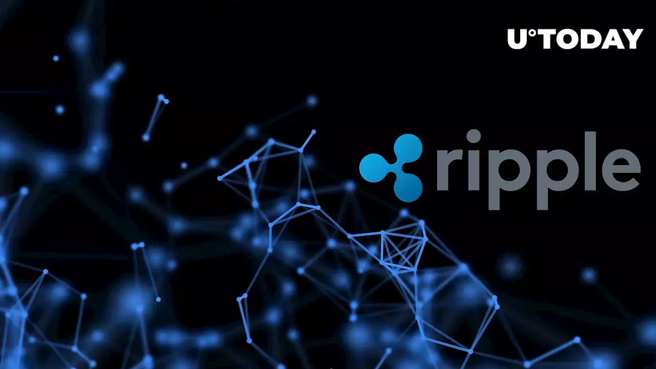 Ripple Supporters Formally File Their Amicus Briefs