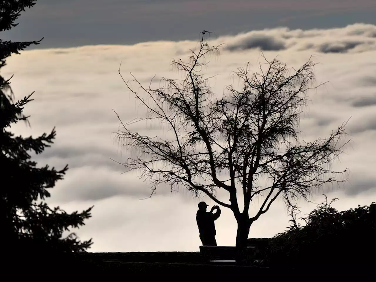 Vancouver weather: Foggy then sunny