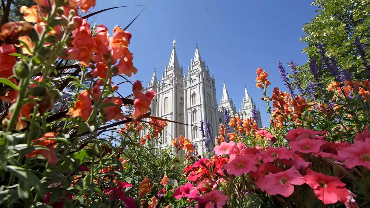 Mormon church voices support for same-sex marriage law