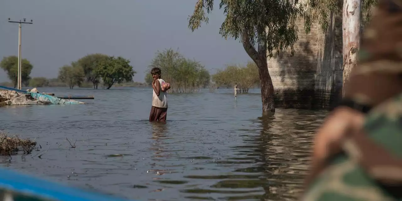 COP27 Talks Weigh Who Should Pay for Climate Damage to Poor Countries