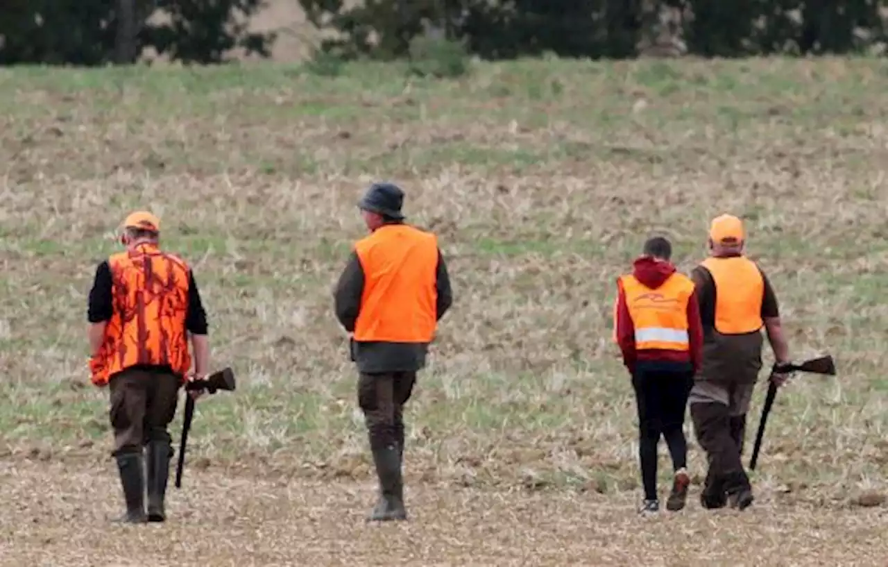 En Gironde, un riverain accuse des chasseurs de l’avoir passé à tabac