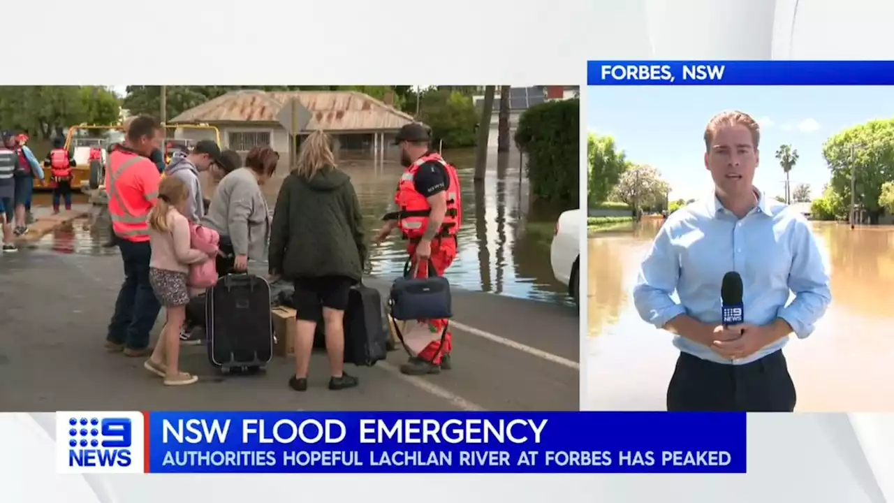 Lachlan River to hit 70-year flood peak this morning