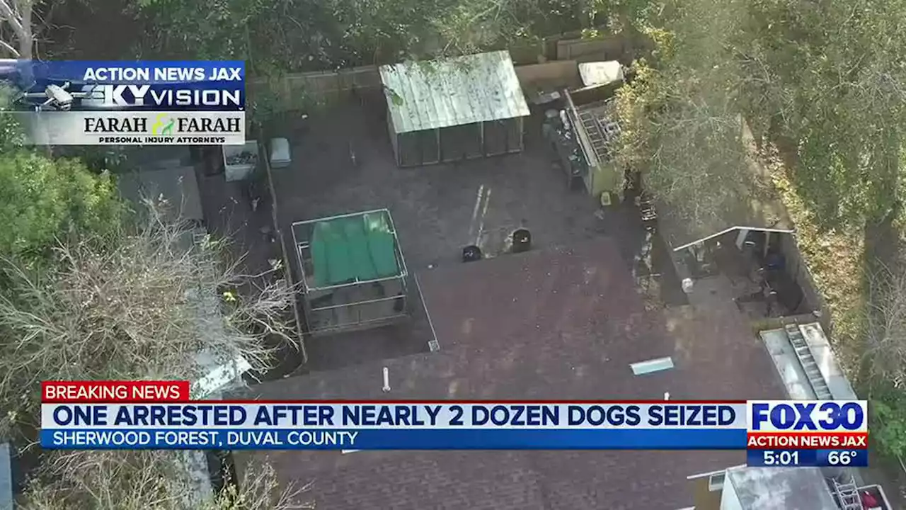 One arrested after nearly 20 dogs seized during search warrant on Jacksonville Northside home