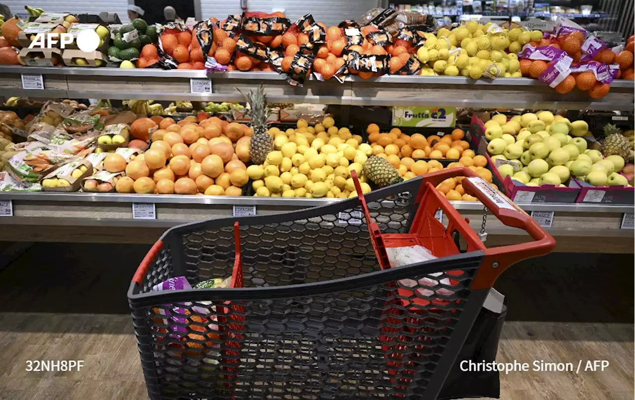 Au supermarché de Septèmes-les-Vallons, le slalom entre les promotions - Challenges