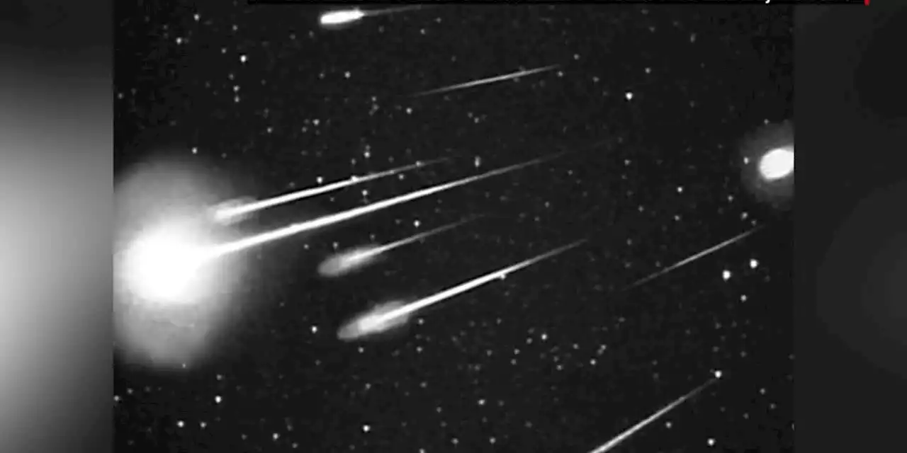 Clear skies provide perfect viewing for peak of Leonids meteor shower