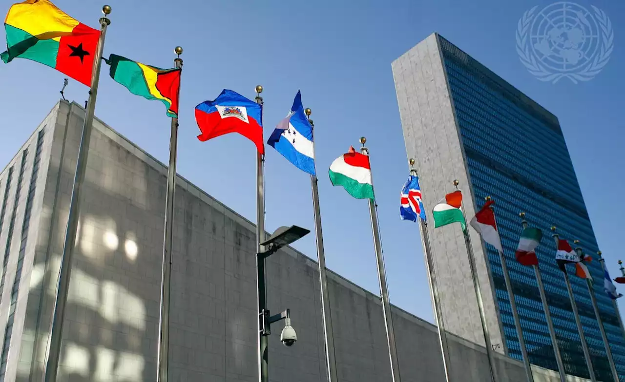 South African Delegation to UN Questioned on Femicide, Xenophobia - South African News Briefs - November 17, 2022