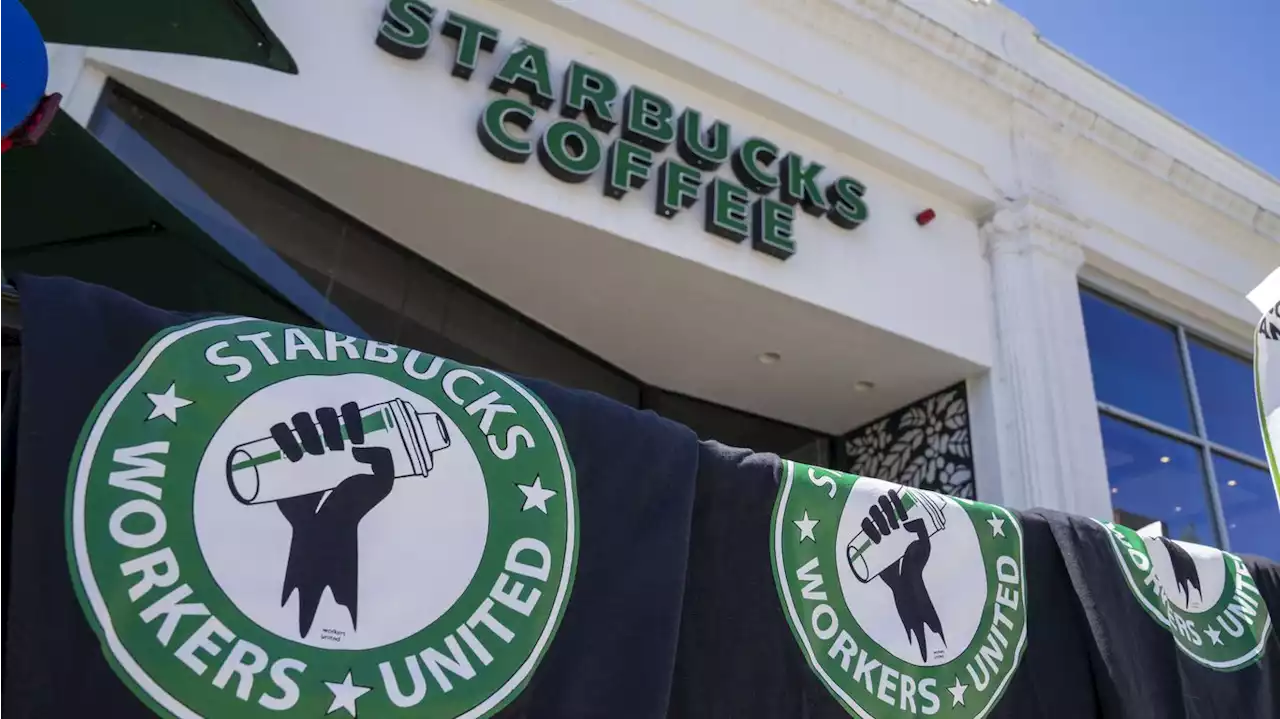 Starbucks workers strike at over 100 stores on Red Cup Day