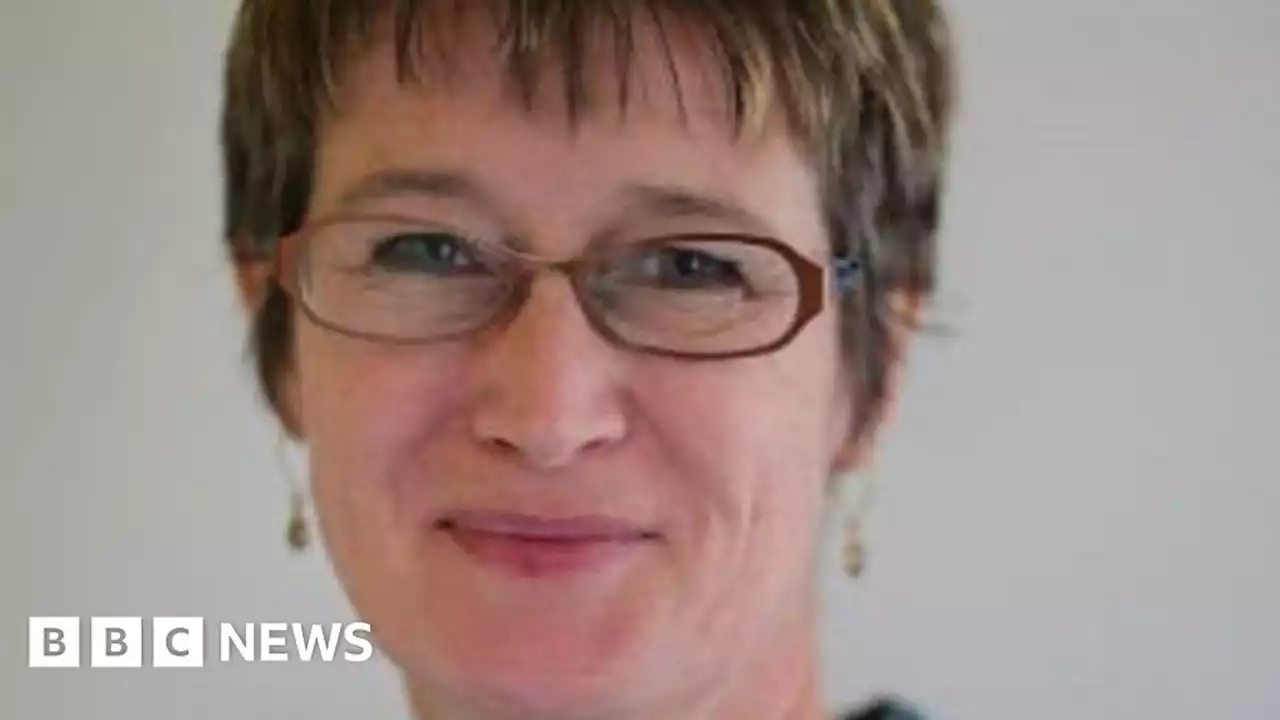 Vicky Bowman: Former UK ambassador among hundreds released in Myanmar