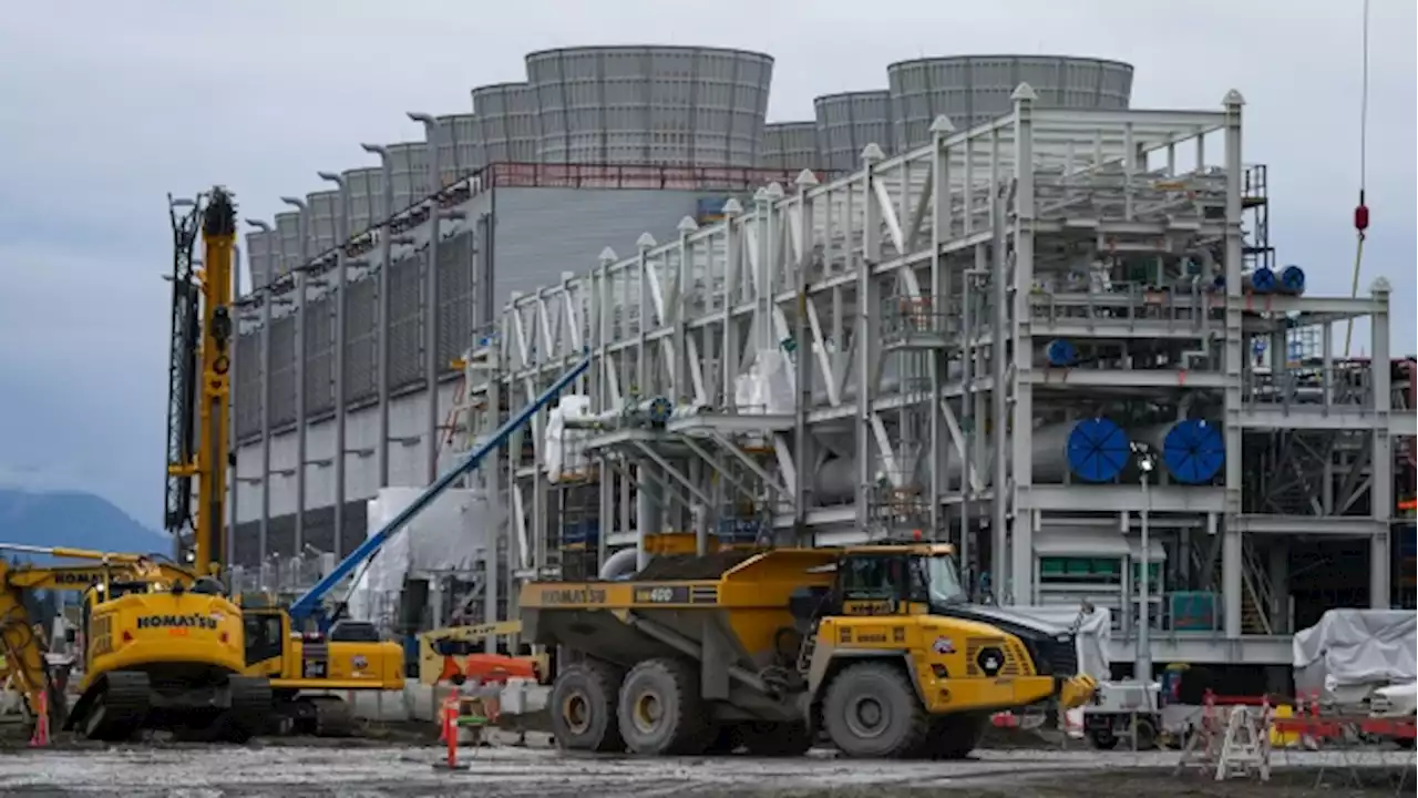 'Bridge fuel' or climate villain? Natural gas in the spotlight as COP27 continues - BNN Bloomberg