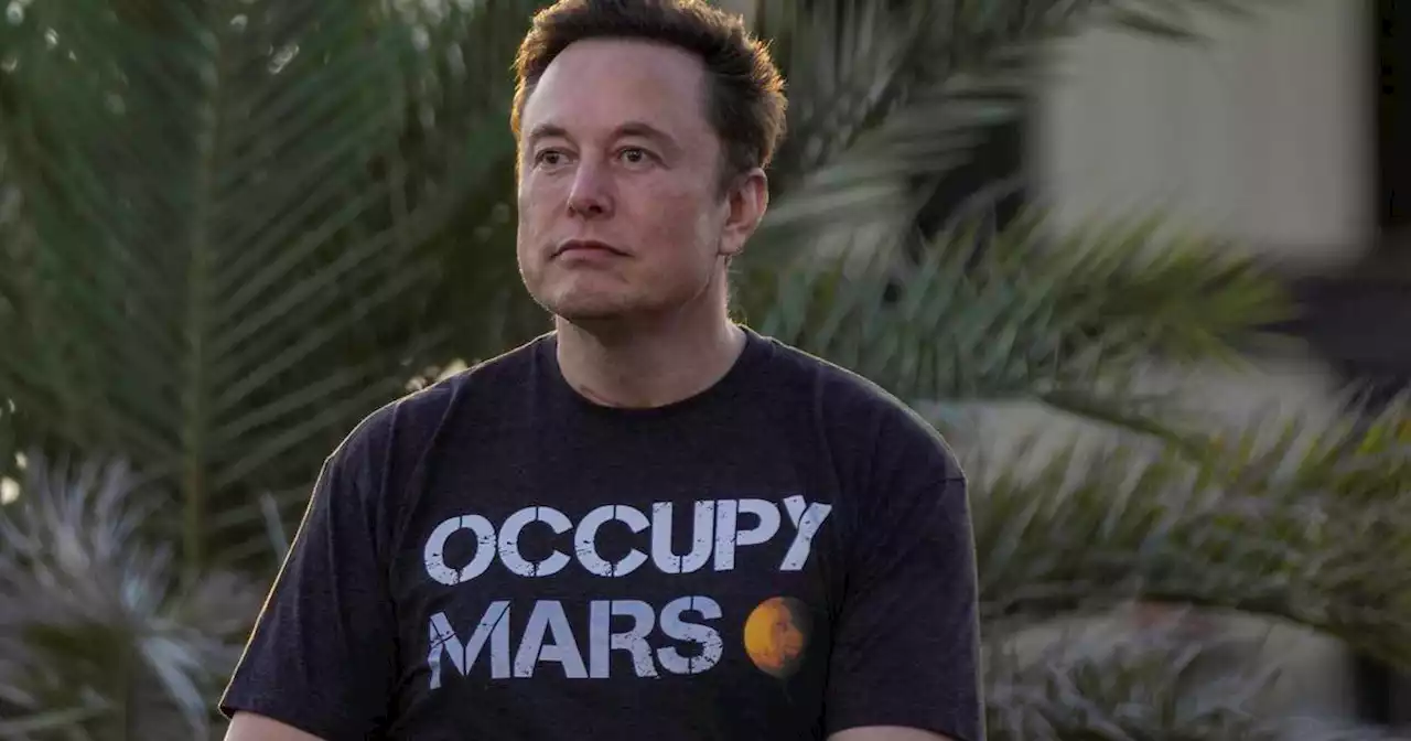 SpaceX employees say they were fired for speaking up about Elon Musk