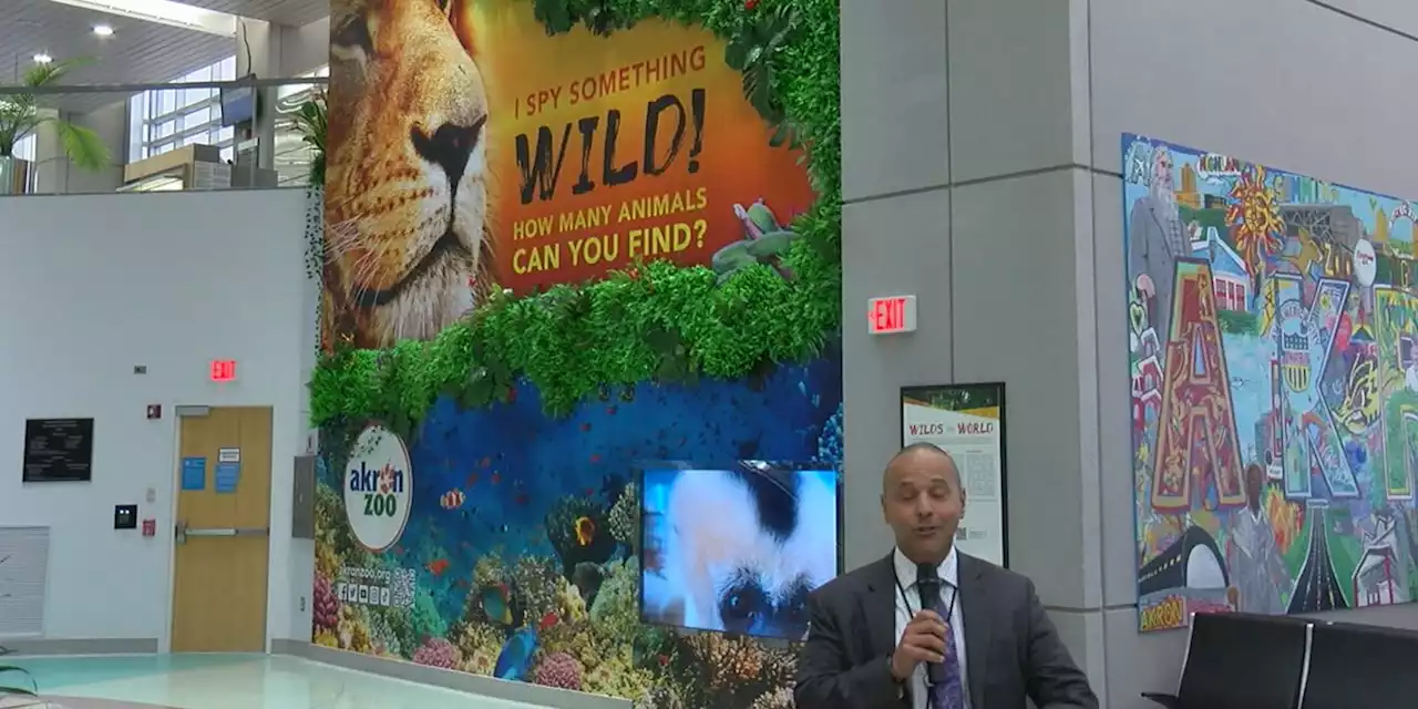 Akron-Canton Airport and Zoo team up to bring a piece of wildlife or travelers