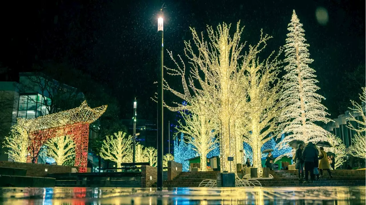 Victoria's Lights of Wonder display returning for 2022