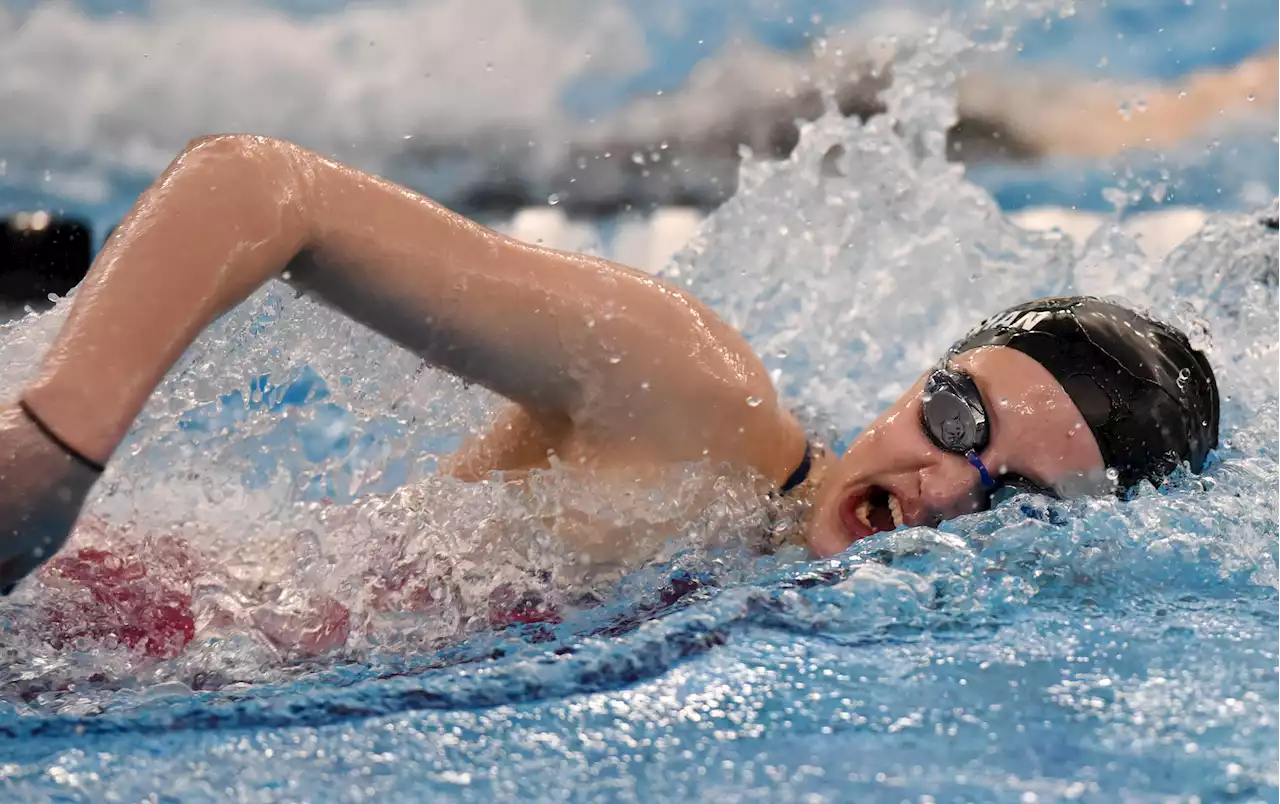 New Trier wins 16th girls state swim title