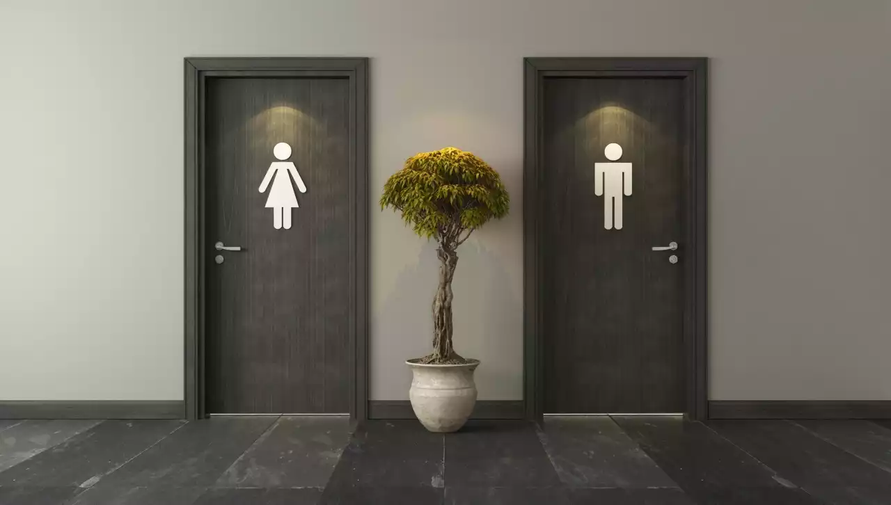 WORLD TOILET DAY OP-ED: Toilet design is still stuck in Elizabethan times — we can flush with success using just one or two litres