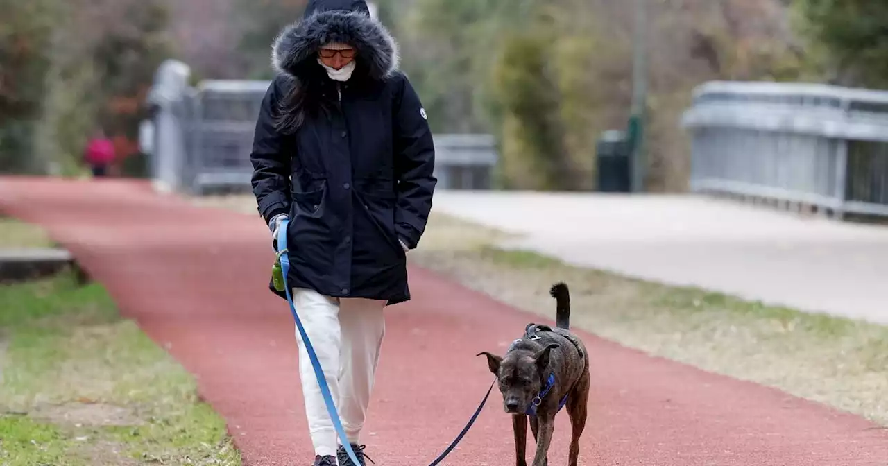 Milder weather in North Texas before a stronger chill this weekend