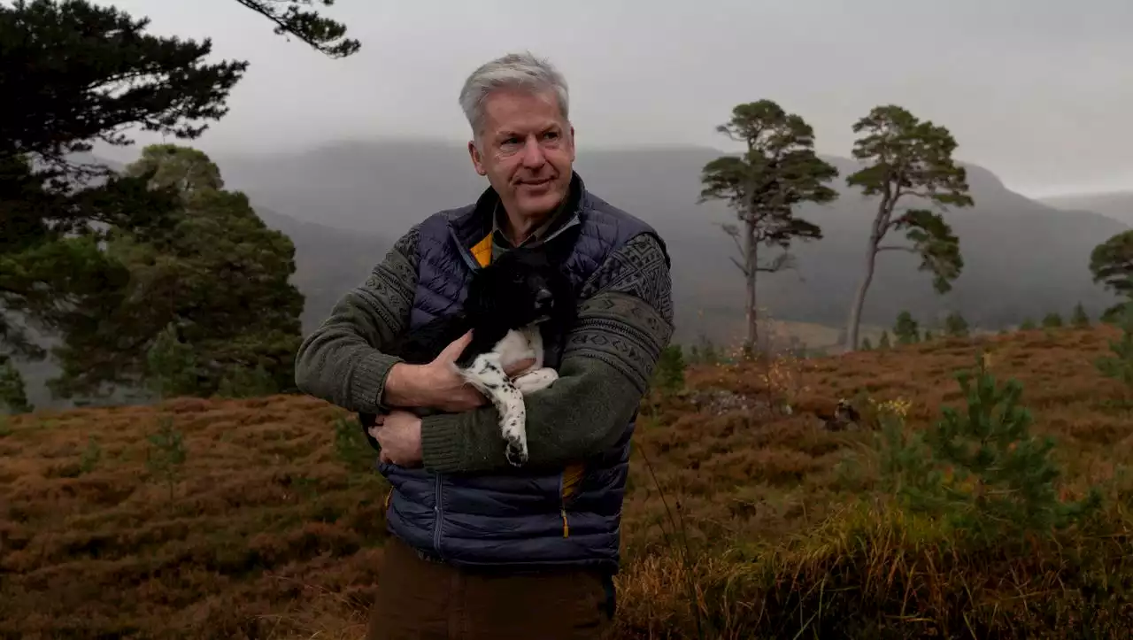 Highlands: Wie Schottland nach 1000 Jahren wieder aufforstet