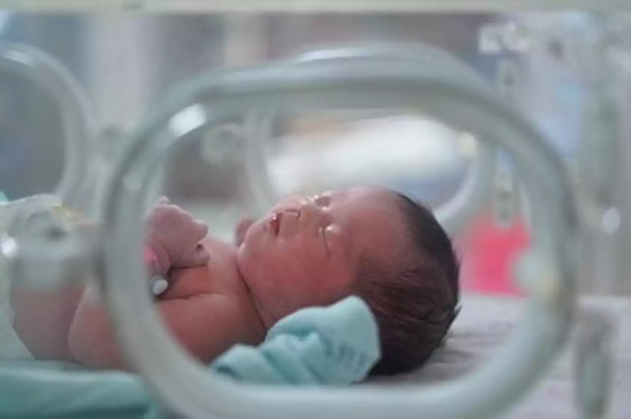 Prematurity Day: Is it possible to prevent premature childbirth?