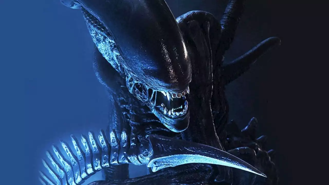 Neuer 'Alien'-Film von Disney und Horror-Spezialist: Das soll die Hauptdarstellerin werden